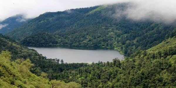 Pelling