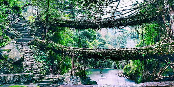 Shillong