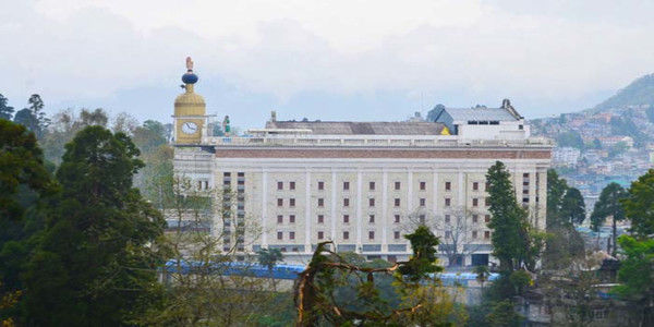 Pine Tree Resort & Spa