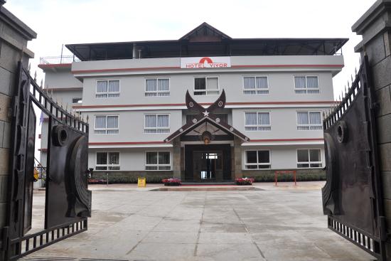 Hotel Vivor