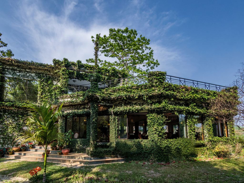 The Riverwood Forest Retreat- Dooars