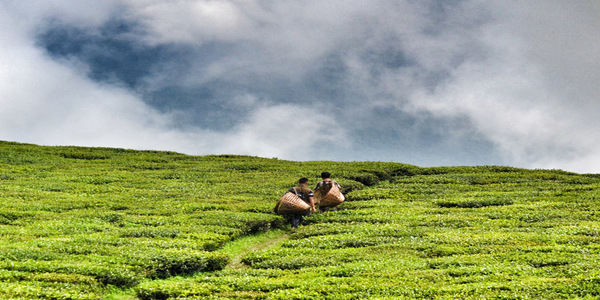 PEACEFUL SIKKIM